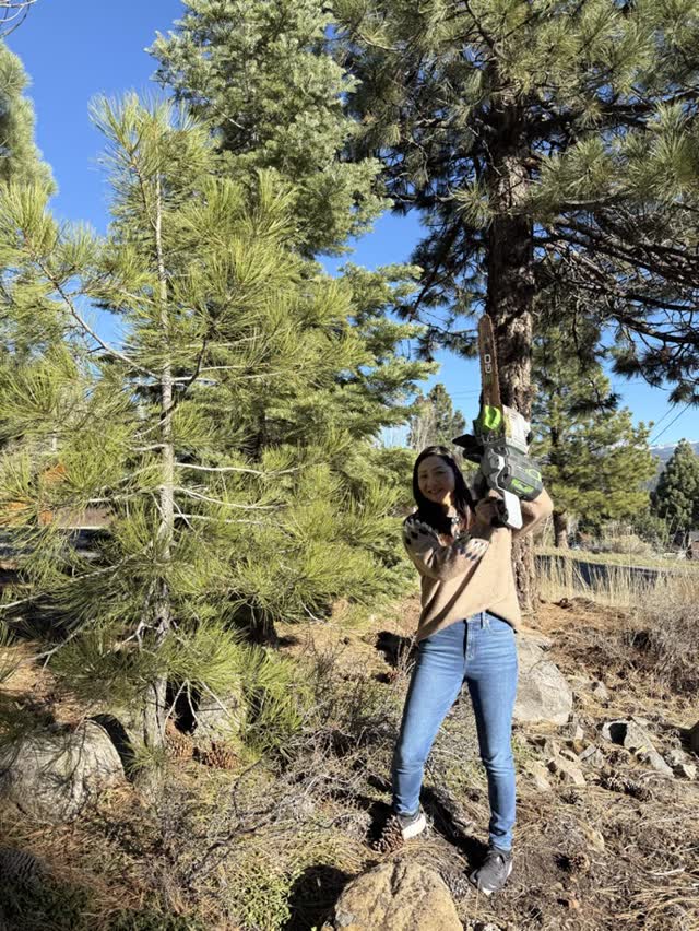 Revving up the chainsaw next to a pine on our lot