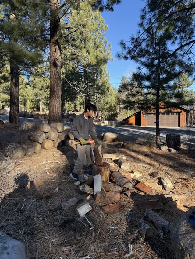 Taking a seat next to the woodpile