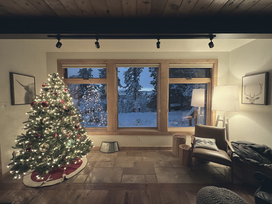 The living room with the tree lit