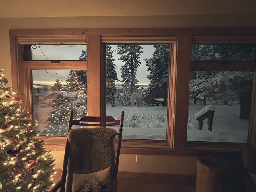 Sunrise through the window beside the tree