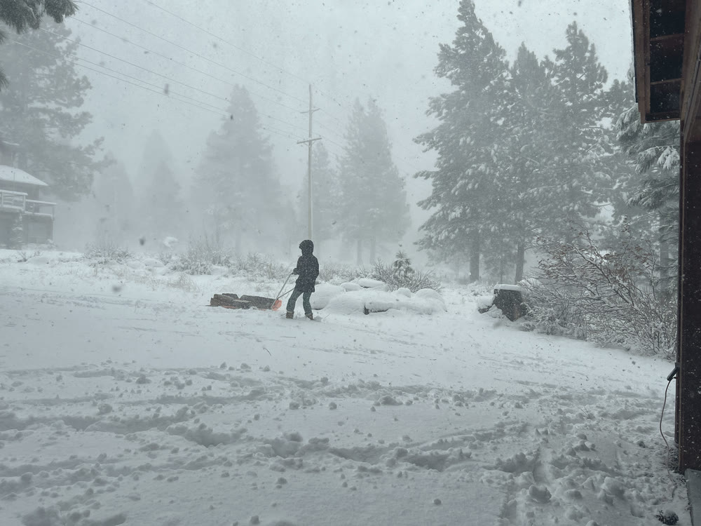 Pulling a sled of firewood through the blizzard