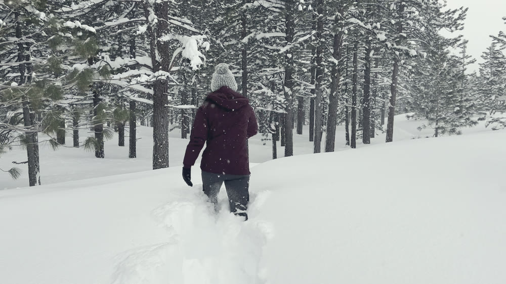 Wading through deep powder in the trees