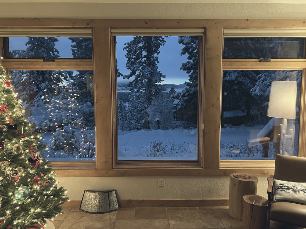 The view through the window at first light
