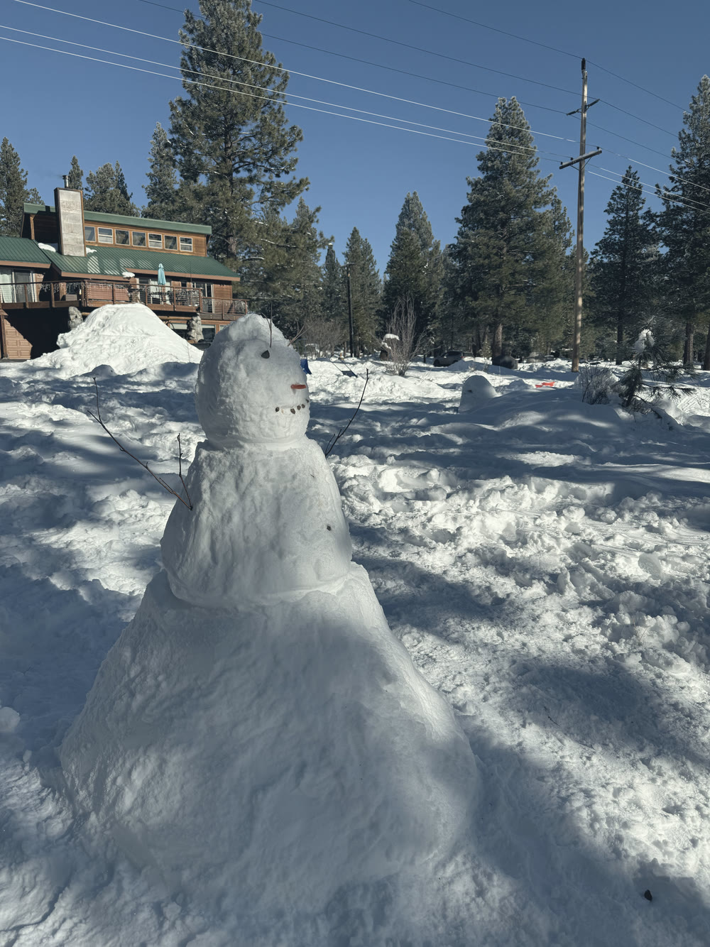 The snowman up close in the sun